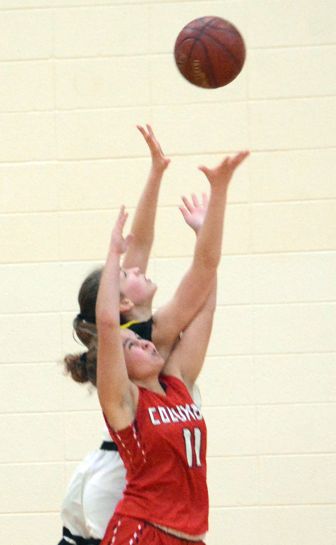 Ashley Olson 2.jpg